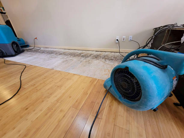 Professional Flood Damage Cleanup technician working in Beaumont, CA